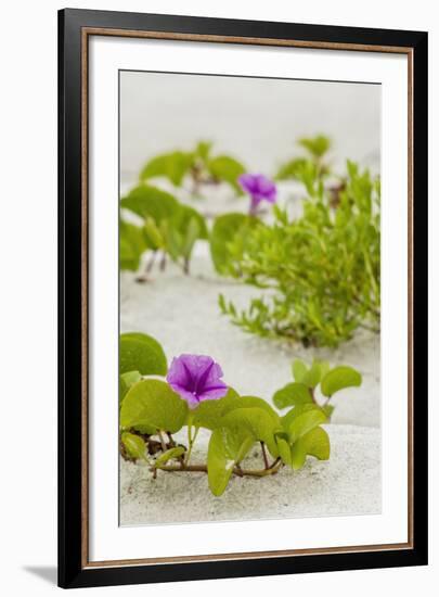 Railroad Vine-Mary Lou Johnson-Framed Art Print