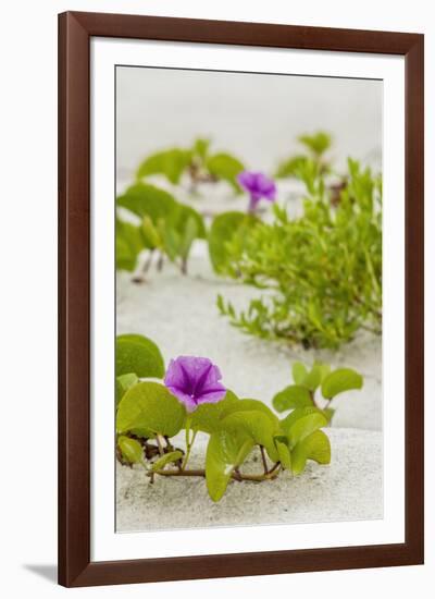 Railroad Vine-Mary Lou Johnson-Framed Art Print