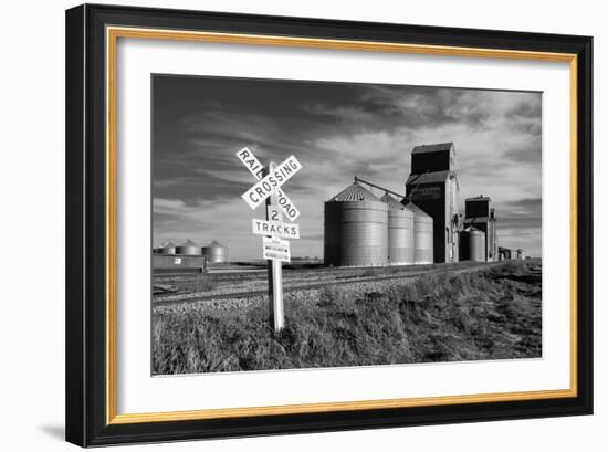 Railroad with Large Grain Stores-Rip Smith-Framed Photographic Print