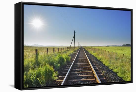 Railroad with sun  in the summer, Toenning, Schleswig-Holstein, Germany-Raimund Linke-Framed Stretched Canvas