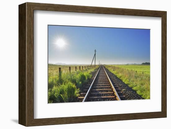 Railroad with sun  in the summer, Toenning, Schleswig-Holstein, Germany-Raimund Linke-Framed Photographic Print