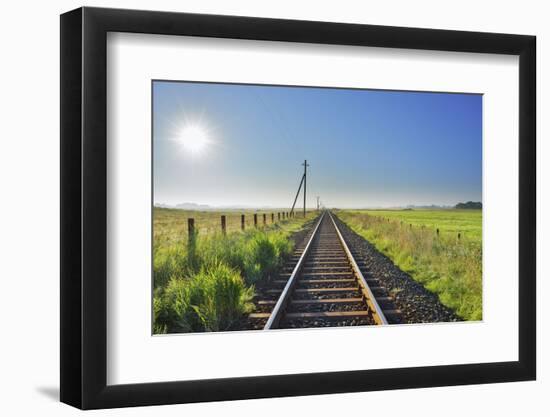 Railroad with sun  in the summer, Toenning, Schleswig-Holstein, Germany-Raimund Linke-Framed Photographic Print