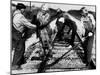 Railroad Women: Track Work 1920s-null-Mounted Photographic Print