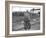 Railroad Worker, C.1900 (B/W Photo)-American Photographer-Framed Giclee Print