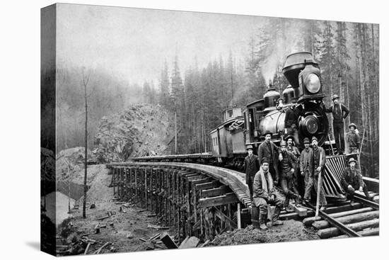 Stretched Canvas Print, , large