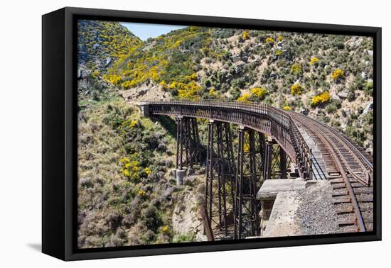 Railway Bridge on Taieri Gorge New Zealand-BackyardProductions-Framed Premier Image Canvas