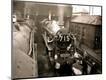Photographic Print
