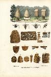 Bees, 1863-79-Raimundo Petraroja-Giclee Print