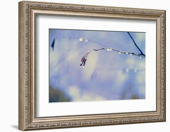 Rain and Branch 3-null-Framed Photographic Print