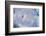 Rain and Branch 3-null-Framed Photographic Print