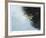 Rain and Leaves-Jan Wagstaff-Framed Giclee Print