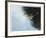 Rain and Leaves-Jan Wagstaff-Framed Giclee Print