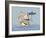 Rain Bunny-Margaret Wilson-Framed Giclee Print