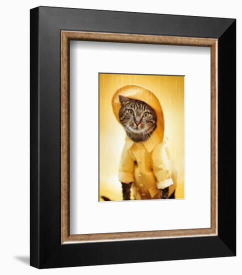 Rain Cat-Rachael Hale-Framed Art Print