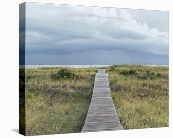 Rain Coming-Wink Gaines-Framed Stretched Canvas