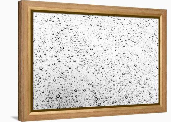 Rain Drops I-Karyn Millet-Framed Premier Image Canvas