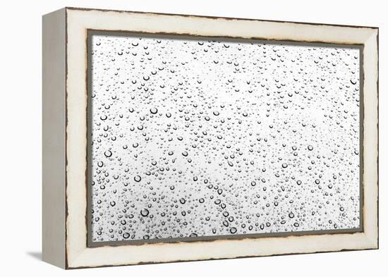 Rain Drops I-Karyn Millet-Framed Premier Image Canvas