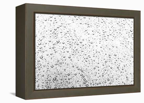 Rain Drops I-Karyn Millet-Framed Premier Image Canvas