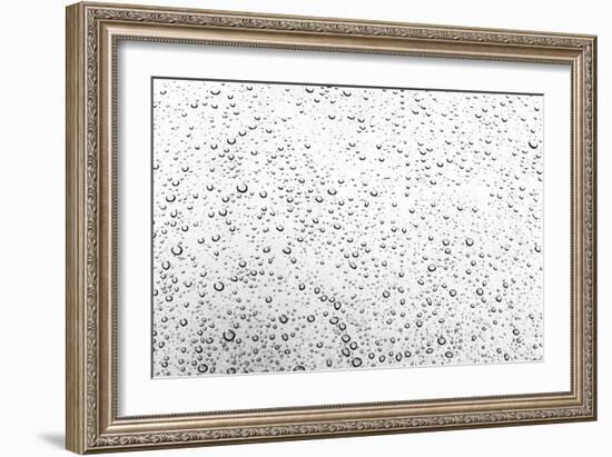 Rain Drops I-Karyn Millet-Framed Photographic Print