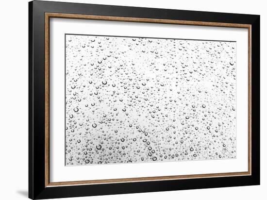 Rain Drops I-Karyn Millet-Framed Photographic Print