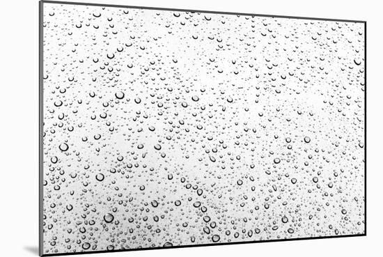 Rain Drops I-Karyn Millet-Mounted Photographic Print