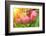 Rain Drops on Ripe Apples-frenta-Framed Photographic Print