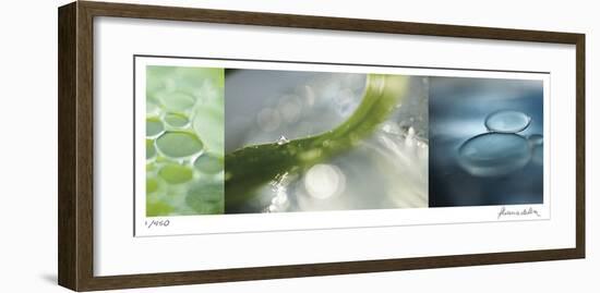 Rain Drops-Florence Delva-Framed Giclee Print