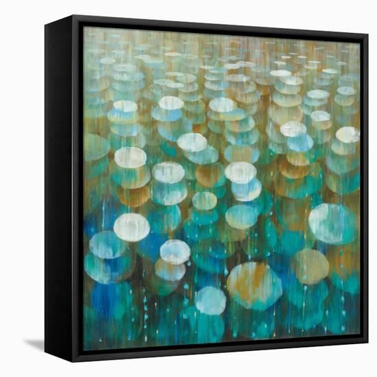 Rain Drops-Danhui Nai-Framed Stretched Canvas