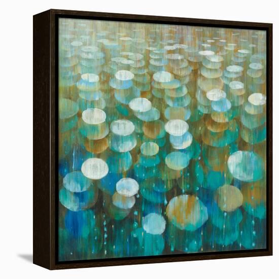 Rain Drops-Danhui Nai-Framed Stretched Canvas