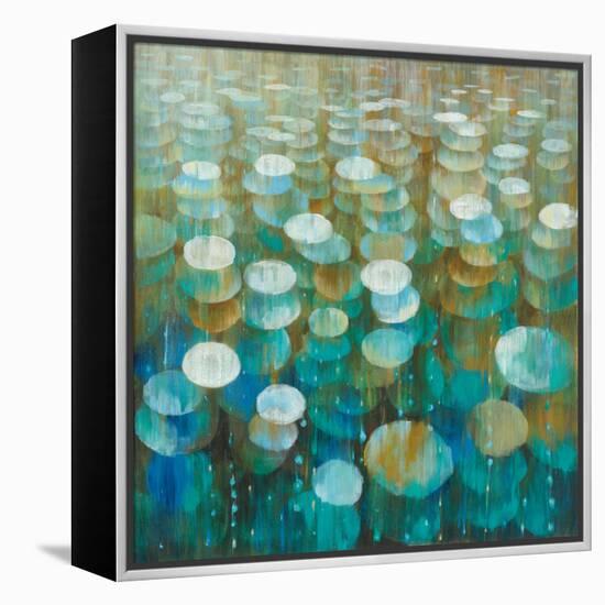 Rain Drops-Danhui Nai-Framed Stretched Canvas