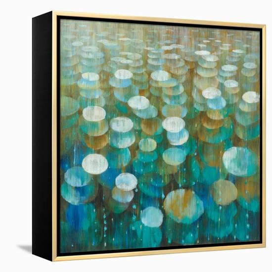 Rain Drops-Danhui Nai-Framed Stretched Canvas