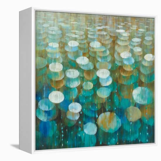Rain Drops-Danhui Nai-Framed Stretched Canvas