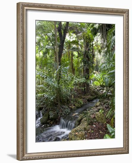 Rain Forest, Fairchild Tropical Gardens, Miami, Florida, USA-Angelo Cavalli-Framed Photographic Print