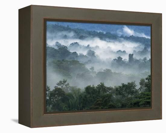 Rain Forest, from Lubaantun to Maya Mountains, Belize, Central America-Upperhall-Framed Premier Image Canvas