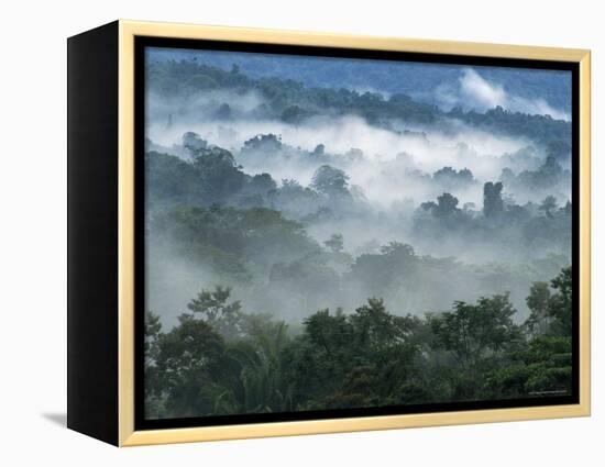 Rain Forest, from Lubaantun to Maya Mountains, Belize, Central America-Upperhall-Framed Premier Image Canvas