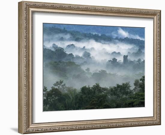 Rain Forest, from Lubaantun to Maya Mountains, Belize, Central America-Upperhall-Framed Photographic Print