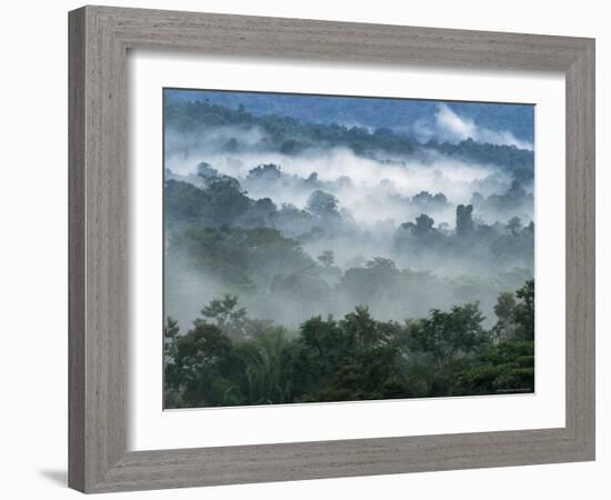 Rain Forest, from Lubaantun to Maya Mountains, Belize, Central America-Upperhall-Framed Photographic Print