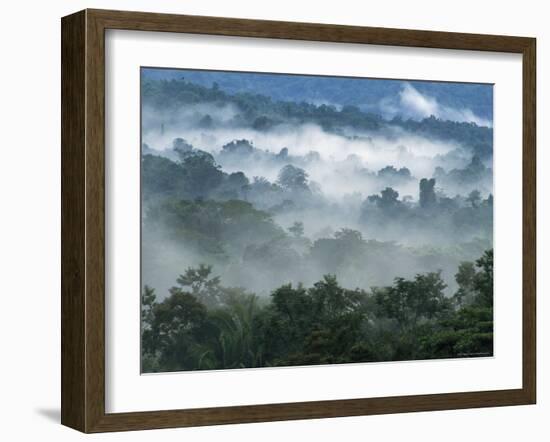 Rain Forest, from Lubaantun to Maya Mountains, Belize, Central America-Upperhall-Framed Photographic Print