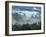 Rain Forest, from Lubaantun to Maya Mountains, Belize, Central America-Upperhall-Framed Photographic Print