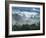 Rain Forest, from Lubaantun to Maya Mountains, Belize, Central America-Upperhall-Framed Photographic Print