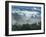 Rain Forest, from Lubaantun to Maya Mountains, Belize, Central America-Upperhall-Framed Photographic Print