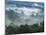 Rain Forest, from Lubaantun to Maya Mountains, Belize, Central America-Upperhall-Mounted Photographic Print