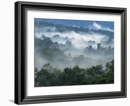Rain Forest, from Lubaantun to Maya Mountains, Belize, Central America-Upperhall-Framed Photographic Print