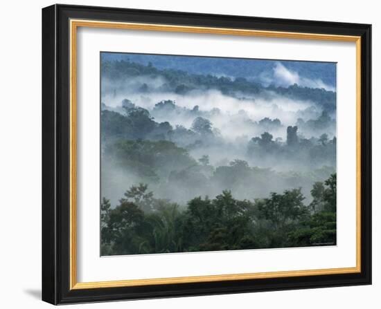 Rain Forest, from Lubaantun to Maya Mountains, Belize, Central America-Upperhall-Framed Photographic Print