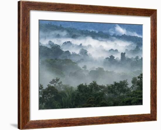 Rain Forest, from Lubaantun to Maya Mountains, Belize, Central America-Upperhall-Framed Photographic Print