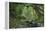 Rain Forest in the Upper Amazon Basin-null-Framed Premier Image Canvas