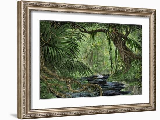 Rain Forest in the Upper Amazon Basin-null-Framed Giclee Print