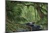 Rain Forest in the Upper Amazon Basin-null-Mounted Giclee Print