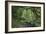 Rain Forest in the Upper Amazon Basin-null-Framed Giclee Print