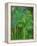 Rain Forest, Malaysia, 1990-Laila Shawa-Framed Premier Image Canvas